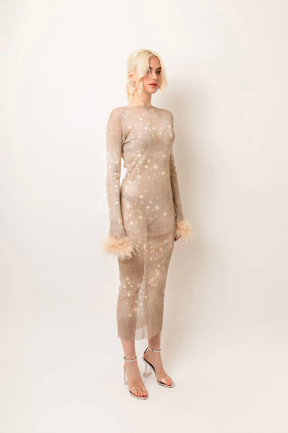 Seville Champagne Rhinestone Maxi Dress: A Stunning Embellished Mesh Dress with Long Sleeves and Feather Trim | AmyLynn