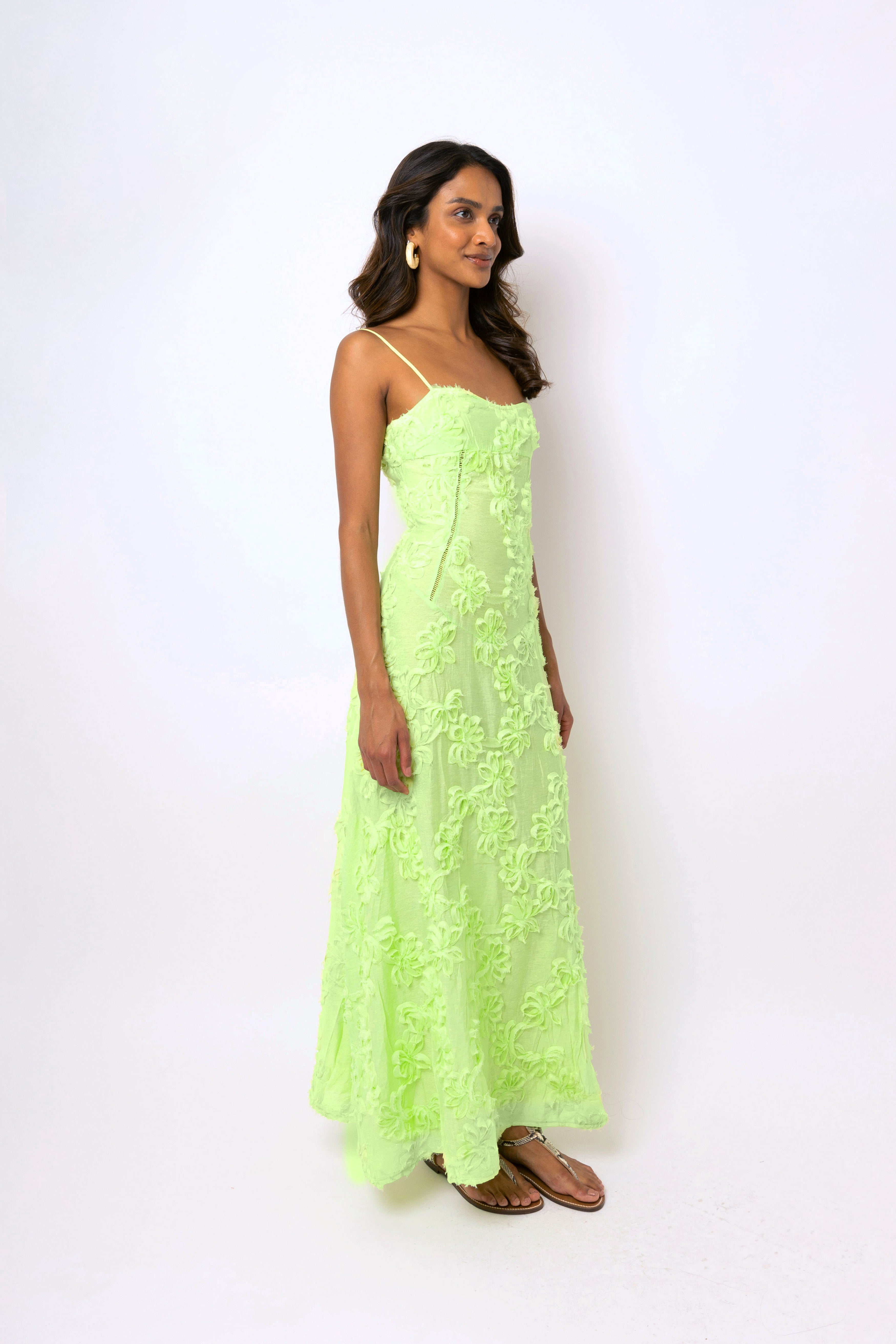 Sofia Chartreuse Green Semi Sheer Maxi Dress