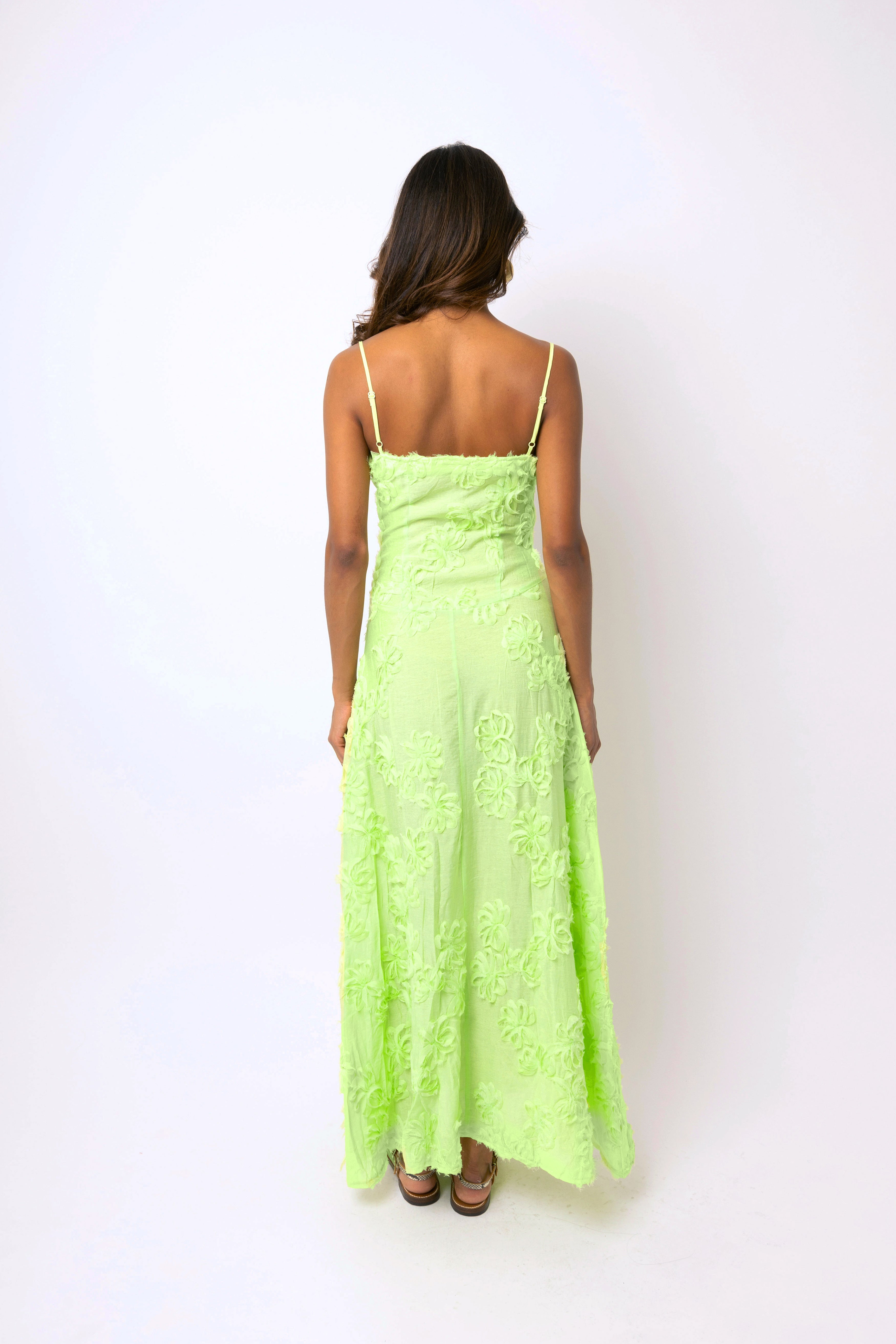 Sofia Chartreuse Green Semi Sheer Maxi Dress