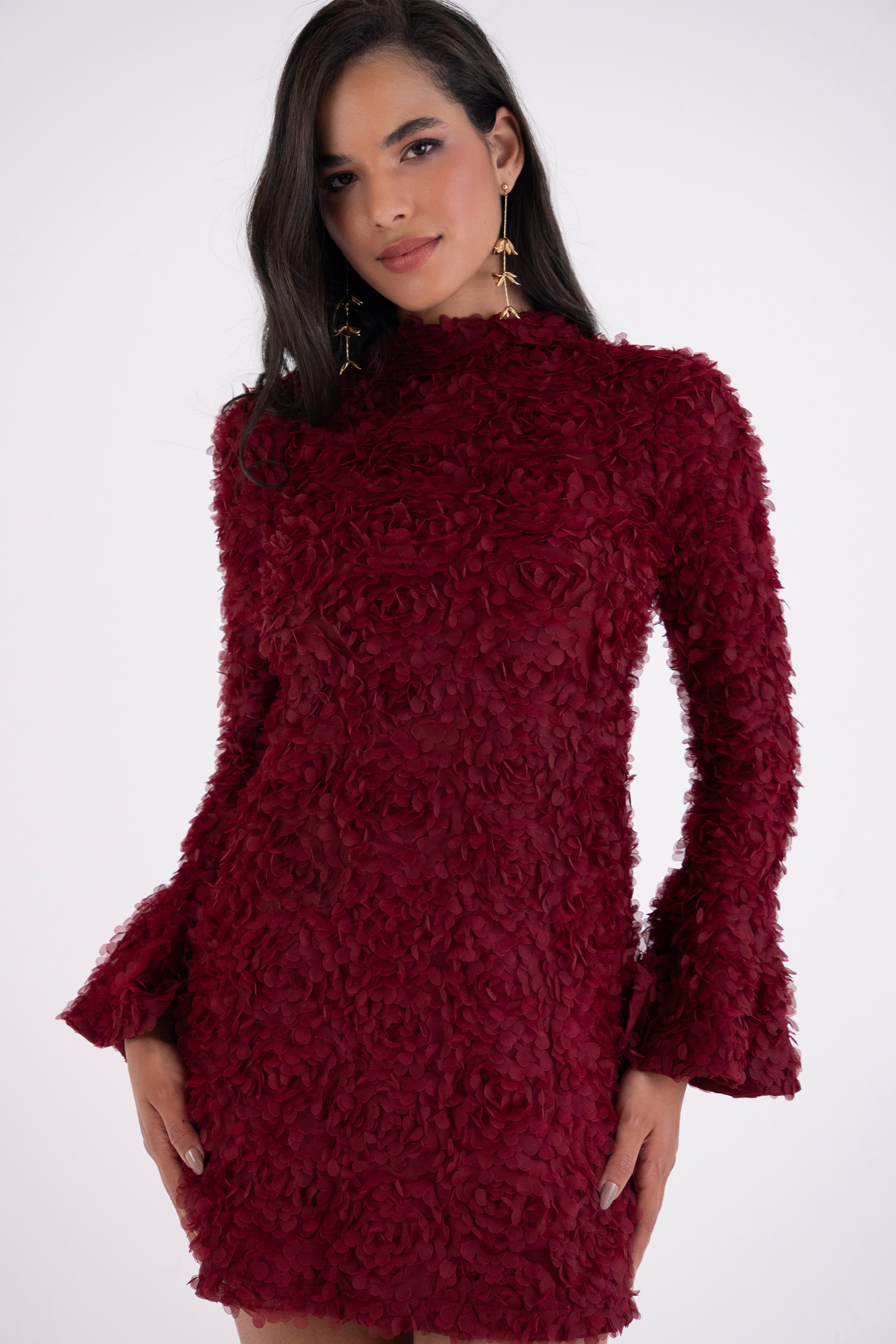 Delphine Burgundy 3D Floral Textured Mini Dress
