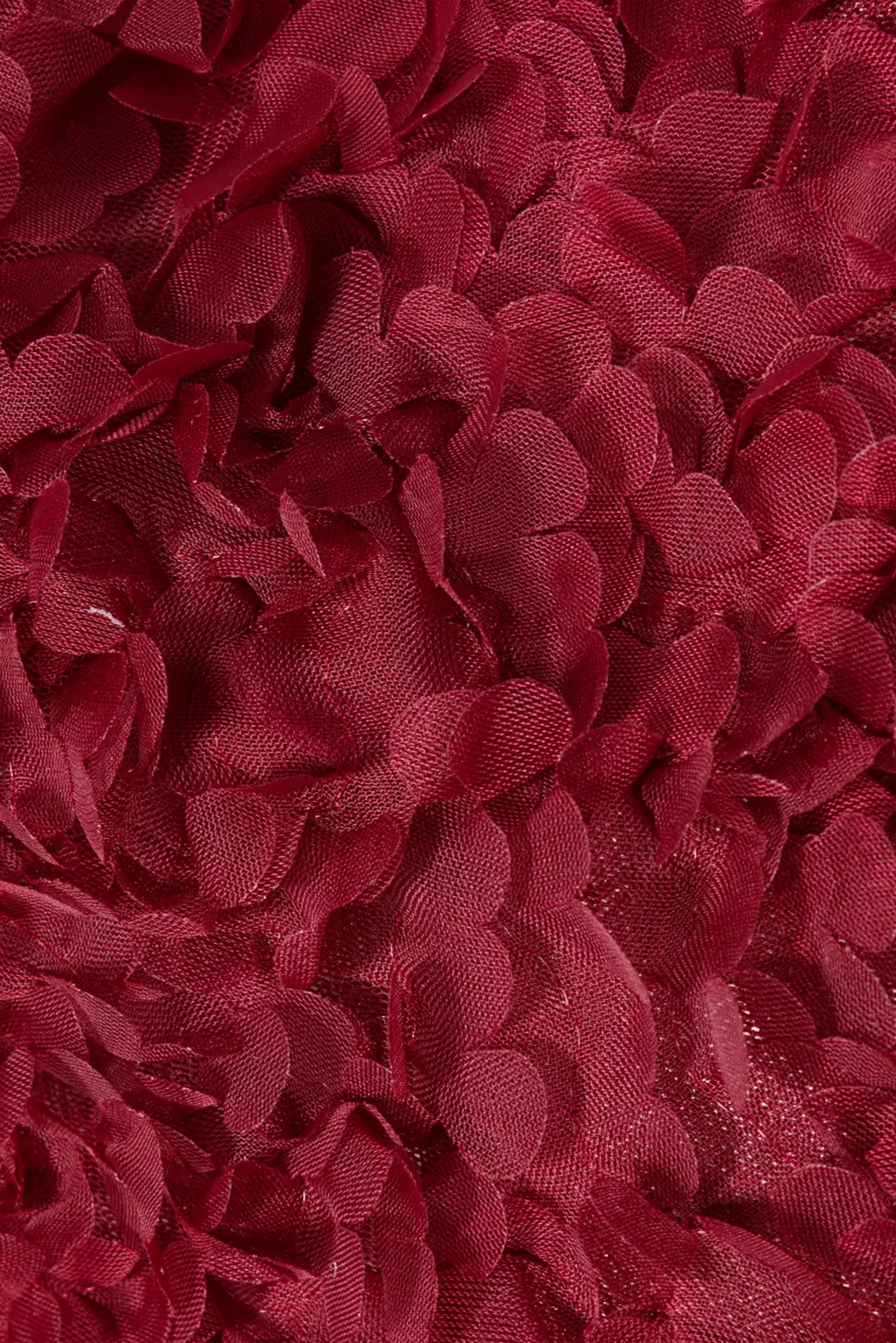 Delphine Burgundy 3D Floral Textured Mini Dress