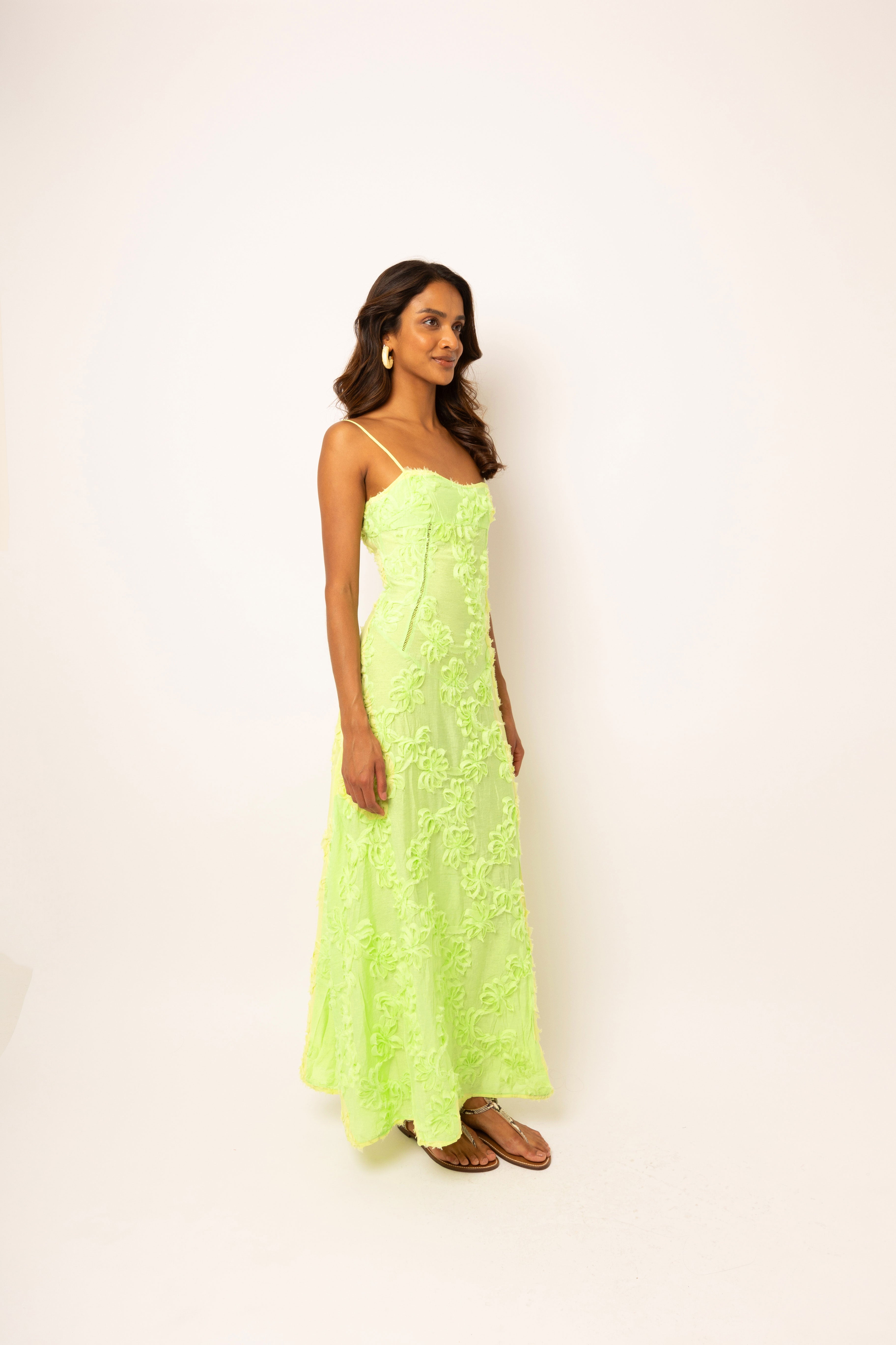 Sofia Chartreuse Green Semi Sheer Maxi Dress