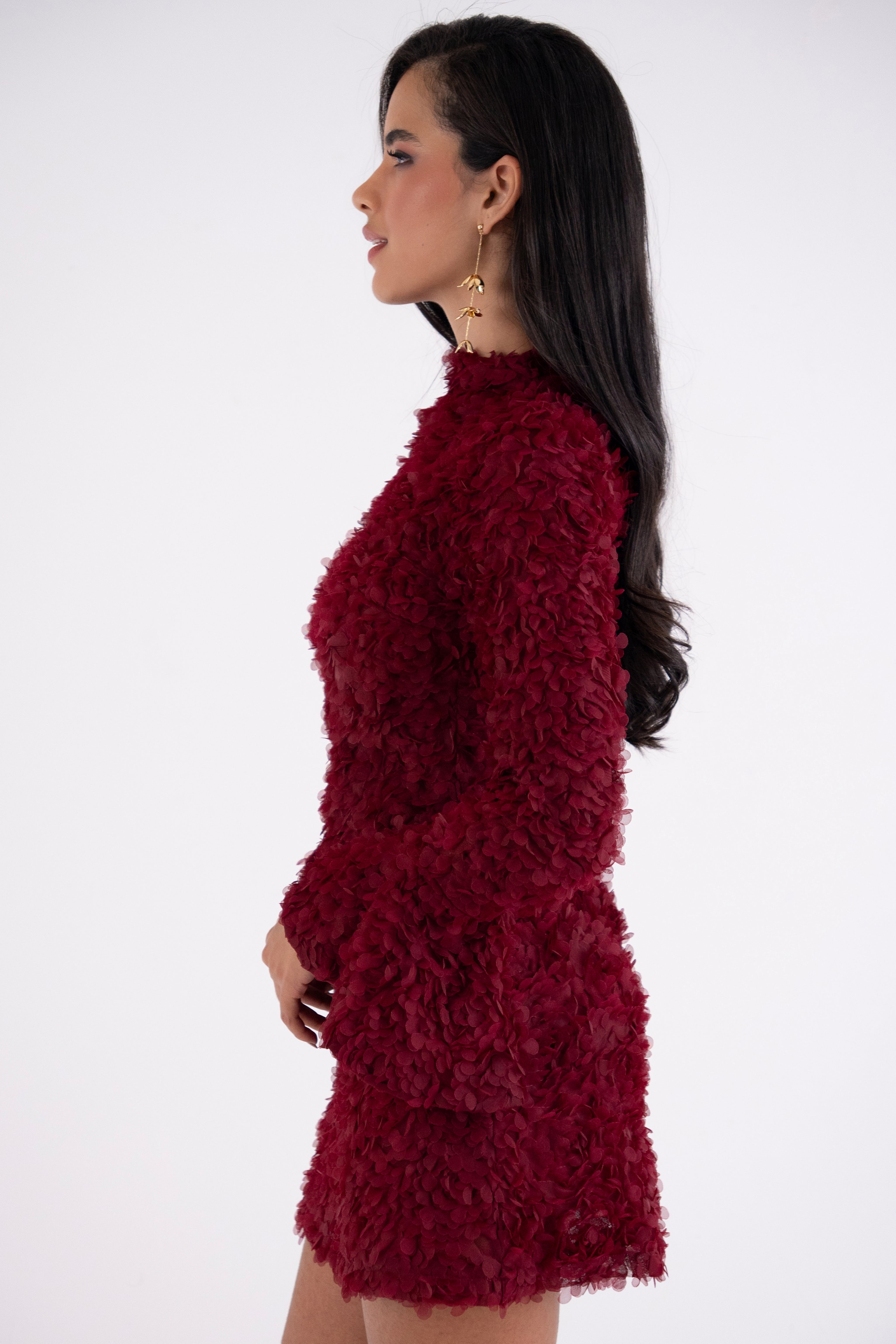 Delphine Burgundy 3D Floral Textured Mini Dress